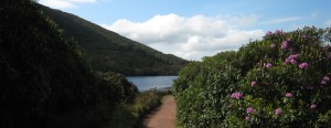 Walk at Baylough, Clogheen, Co. Tipperary.