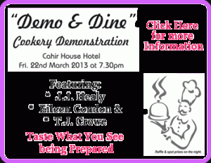 Demo & Dine 2013