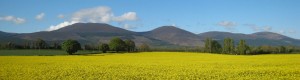 Tipperary Knockmealdown Mountains Rapeseed photo