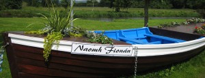 Communities in the Knockmealdown Active Region
