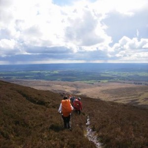 Walks Awareness Training Programme - October 15th 2012, Newcastle