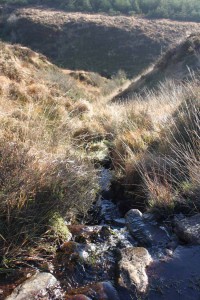 Downstream