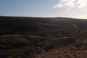 Three Dunes Stream