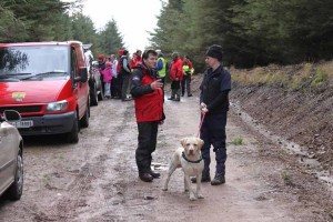 Irish Search Dogs in Action