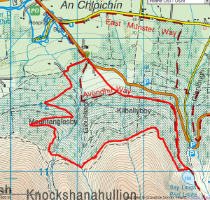 Bay Lough Walk Map