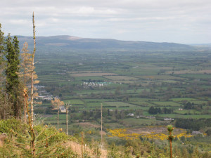 Clogheen and Galtee Mountains