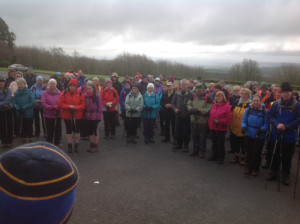 Pilgrim Paths Day 2015 - St. Declan's Way