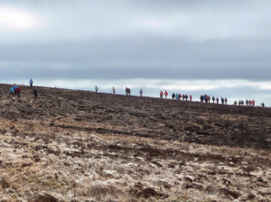 Pilgrim Paths Day 2015 - St. Declan's Way